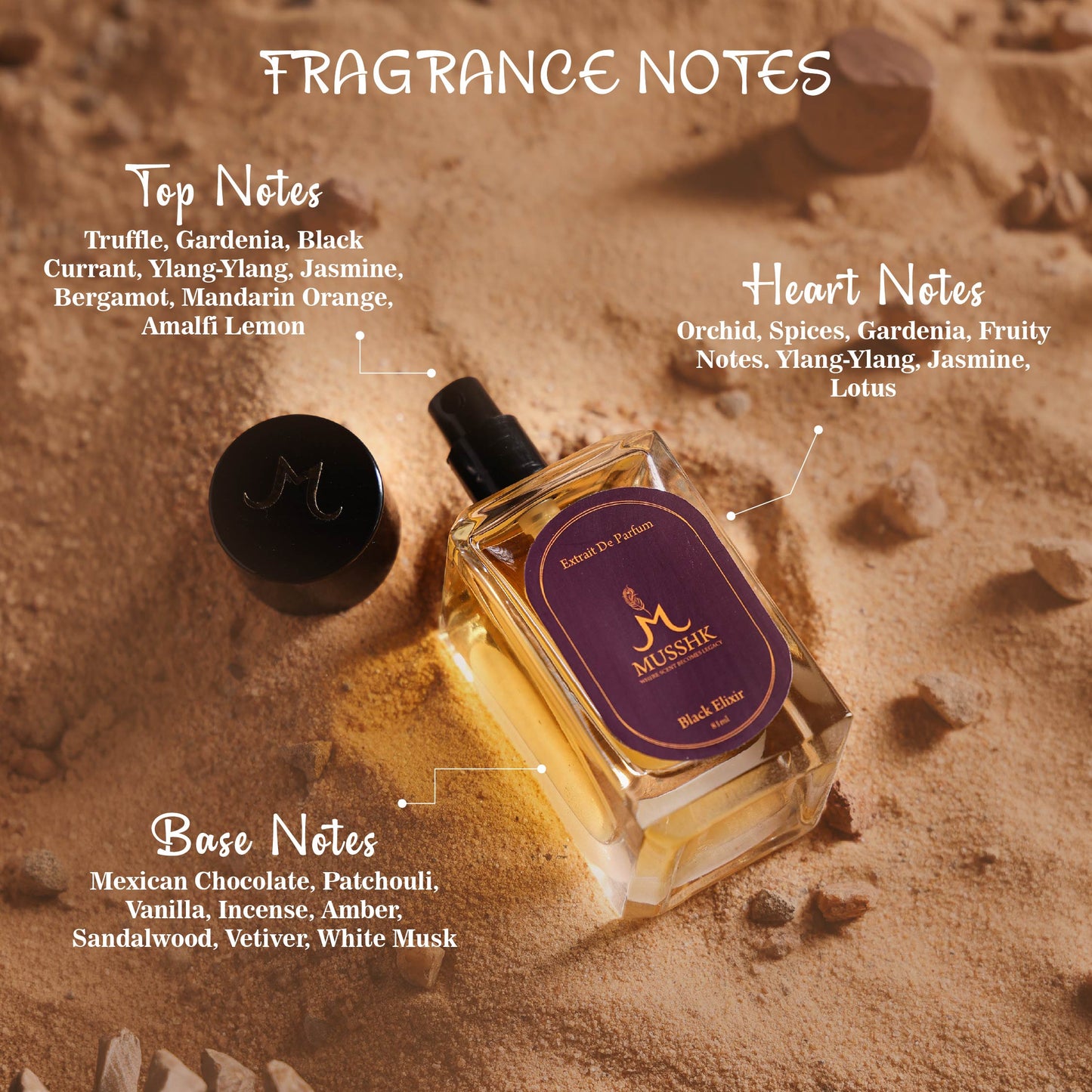 Perfume Fragrance Notes